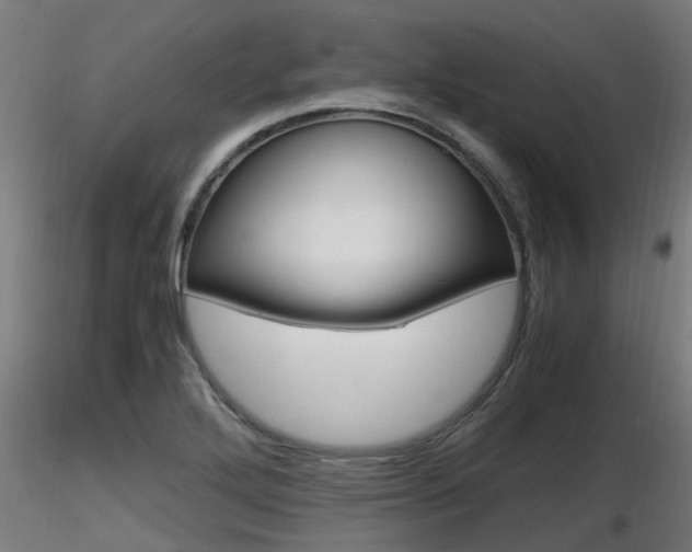 X0000116461272200912090919