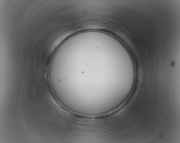 X0000116461273200912090919