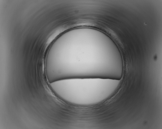 X0000116461274200912090919