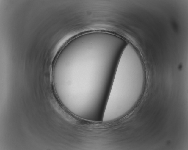 X0000116461275200912090919