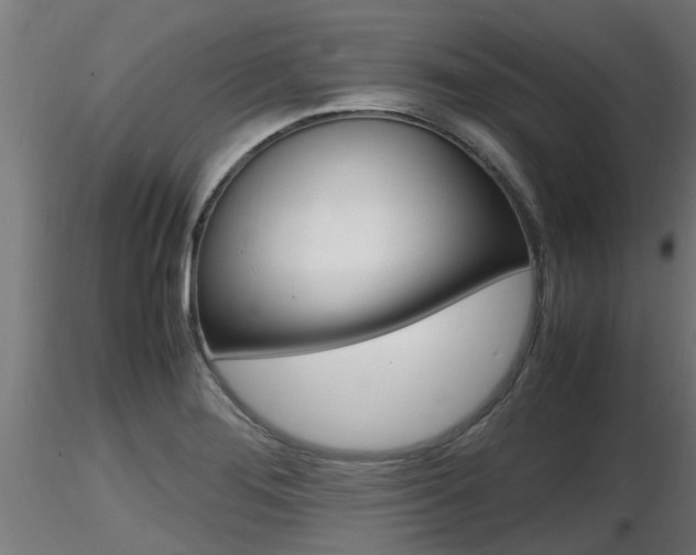 X0000116461276200912090919