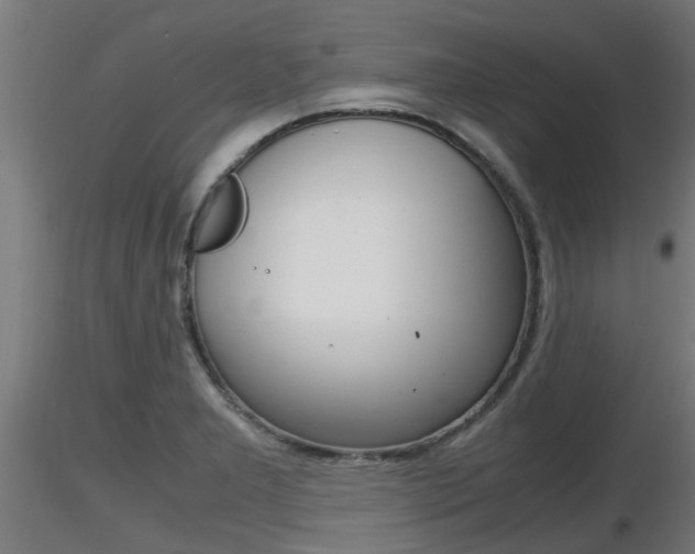 X0000116461277200912090919