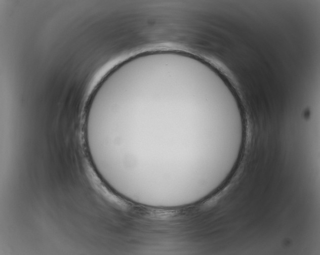 X0000116461278200912090919