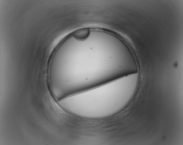 X0000116461279200912090919