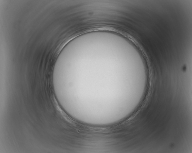 X0000116461281200912090919