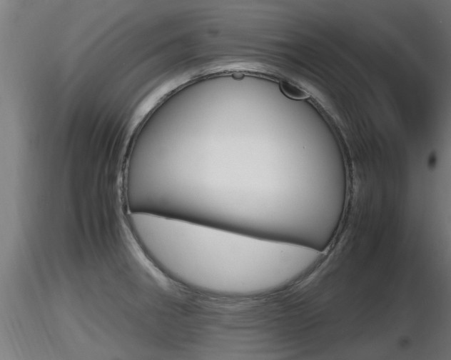 X0000116461282200912090919
