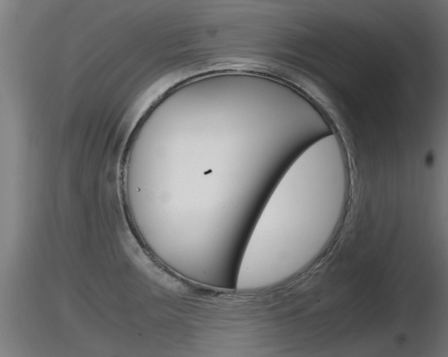 X0000116461283200912090919