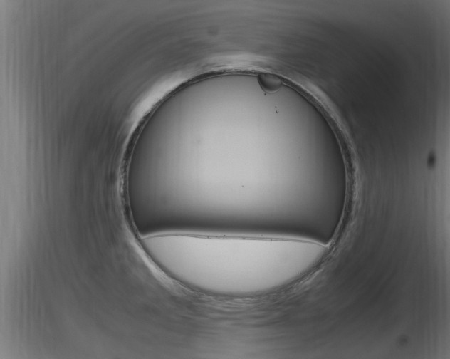 X0000116461285200912090919
