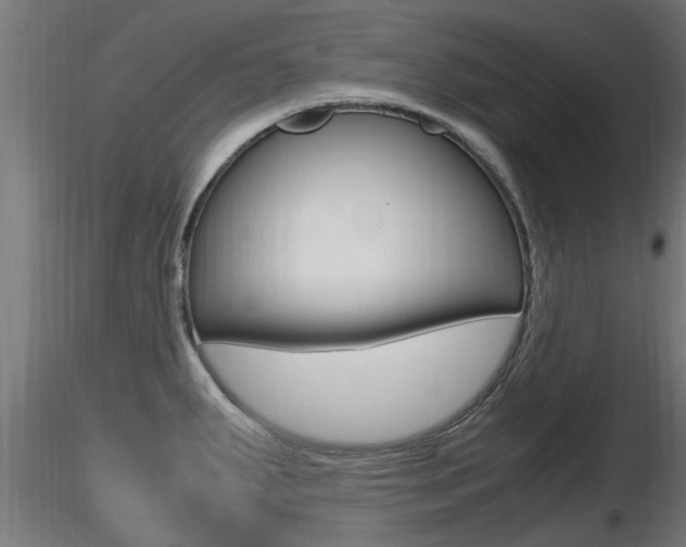 X0000116461287200912090918