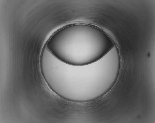 X0000116461288200912090918