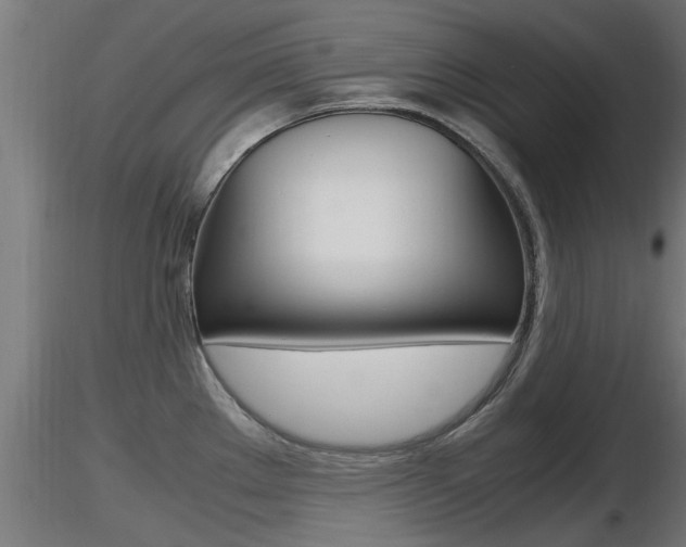 X0000116461289200912090918