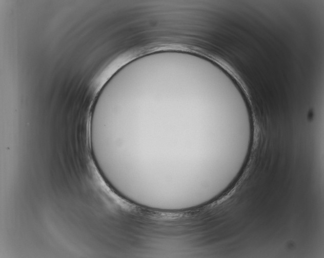 X0000116461290200912090918