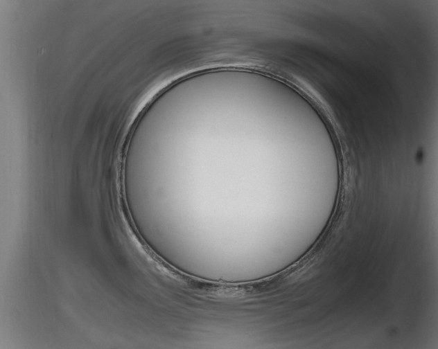 X0000116461291200912090918
