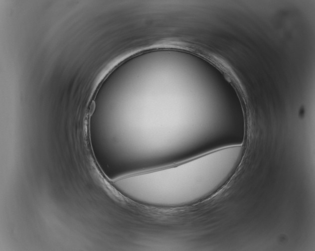 X0000116461292200912090918