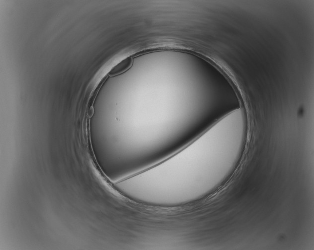 X0000116461293200912090918