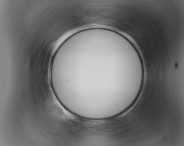 X0000116461294200912090918