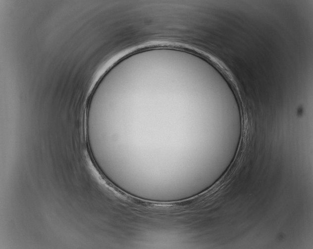 X0000116461295200912090918