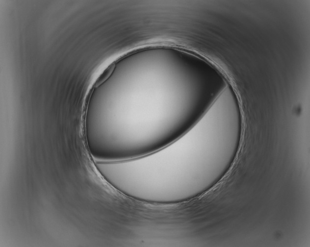 X0000116461296200912090918