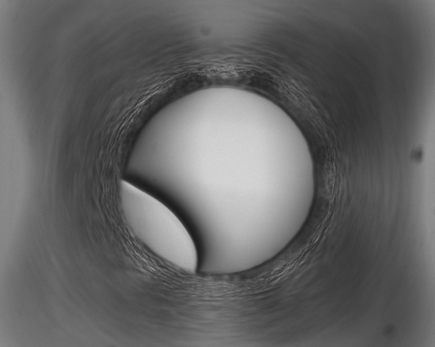 X0000116461297200912090918