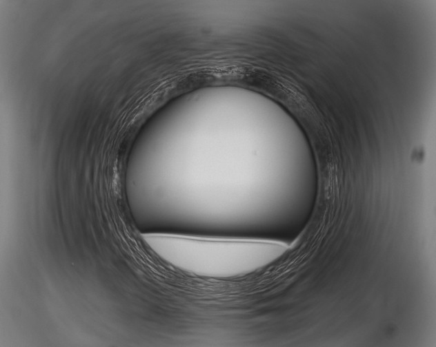 X0000116461298200912090918