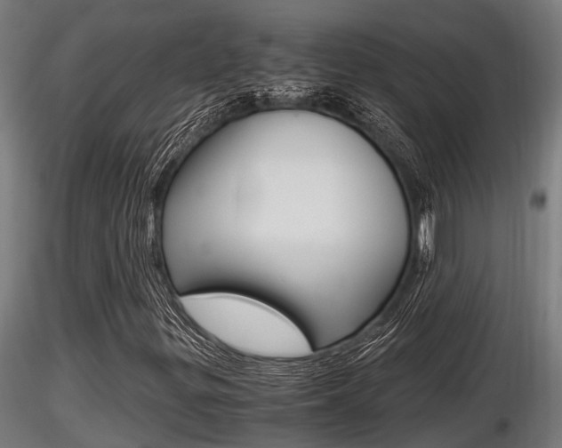 X0000116461299200912090918