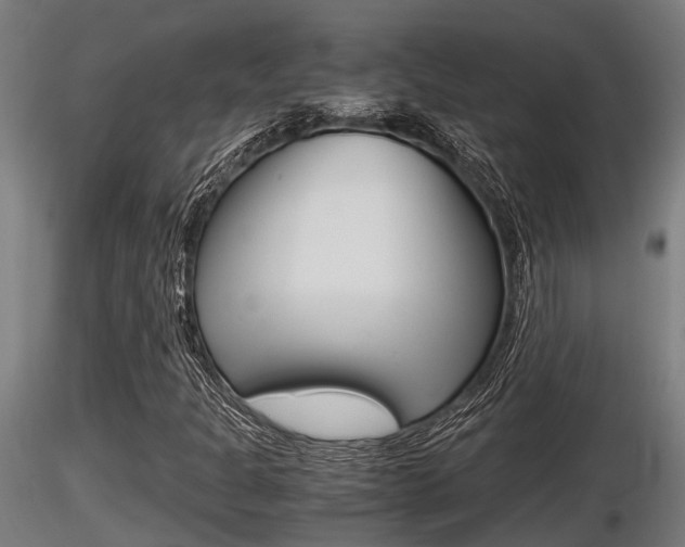 X0000116461301200912090918
