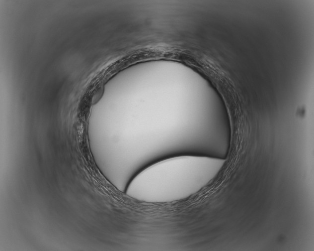X0000116461302200912090918