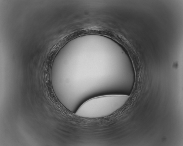 X0000116461303200912090918