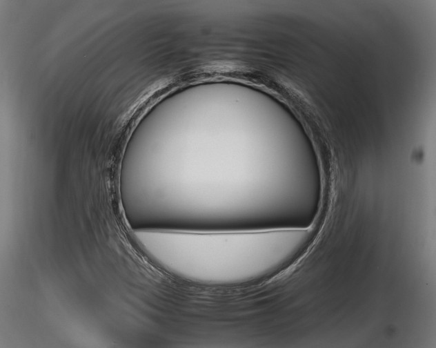 X0000116461305200912090918