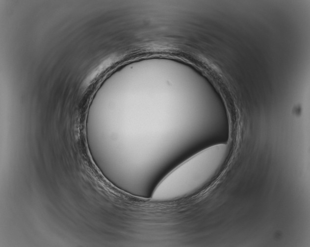 X0000116461306200912090918