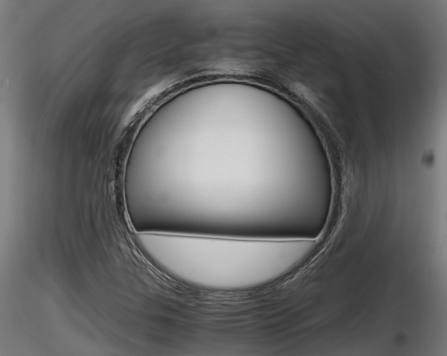 X0000116461307200912090918