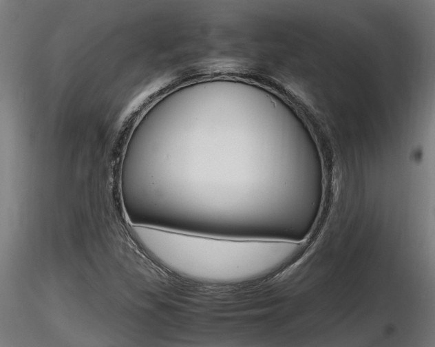 X0000116461309200912090918