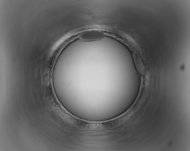 X0000116461310200912090918