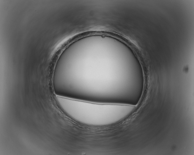 X0000116461311200912090918