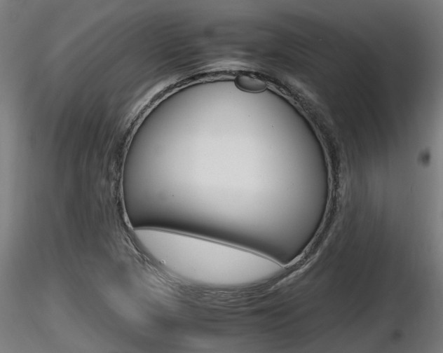 X0000116461313200912090918