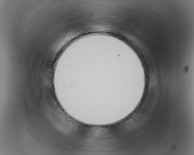 X0000116461314200912090918