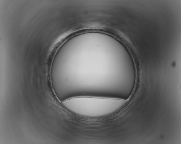 X0000116461315200912090918
