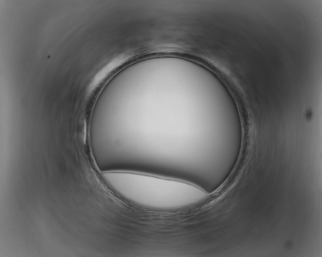X0000116461317200912090918