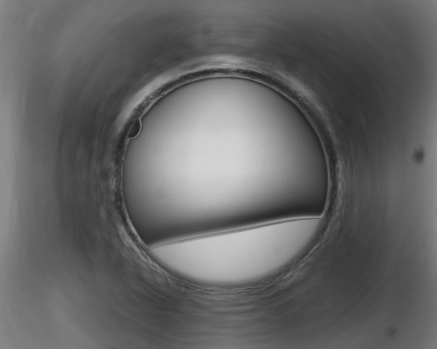 X0000116461318200912090918