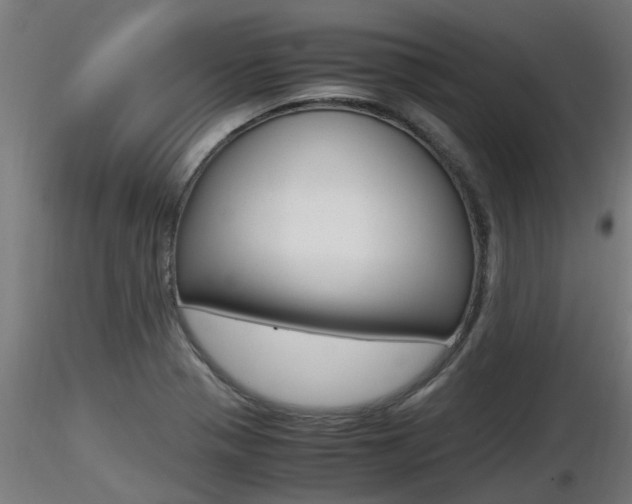 X0000116461321200912090918