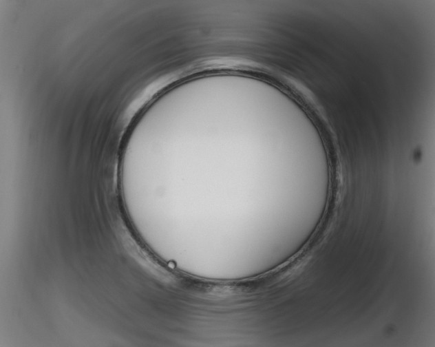 X0000116461322200912090918