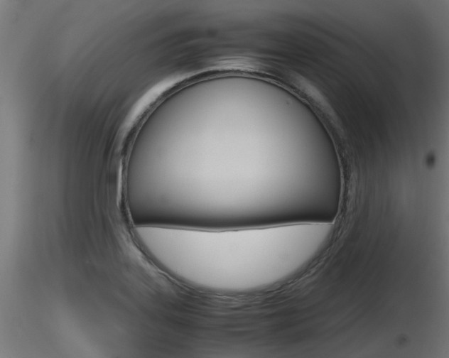 X0000116461323200912090918