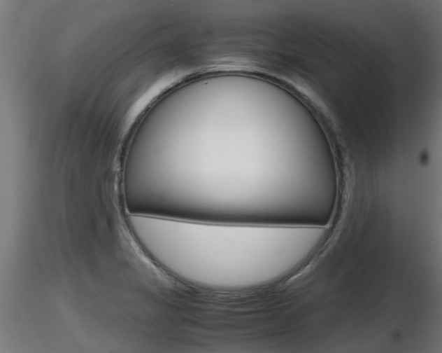 X0000116461325200912090918