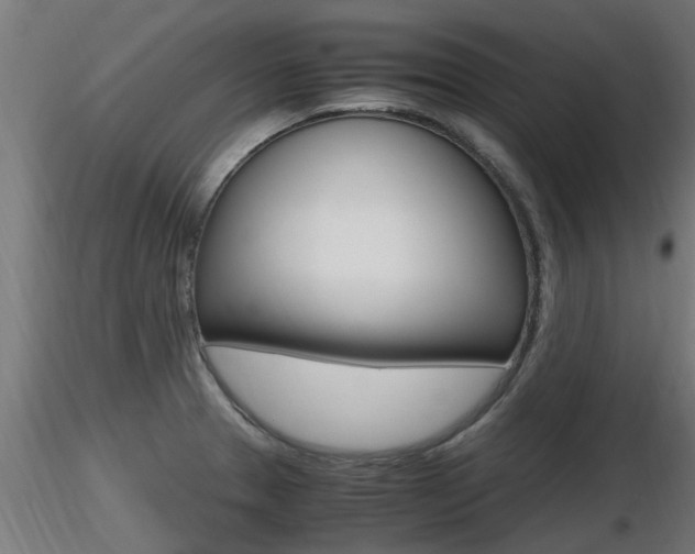 X0000116461329200912090918