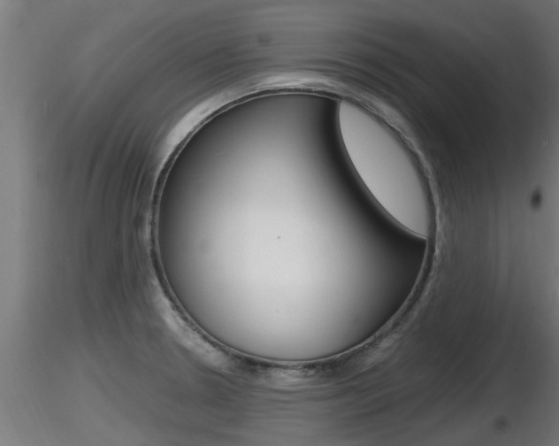 X0000116461330200912090918