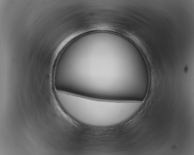 X0000116461331200912090918