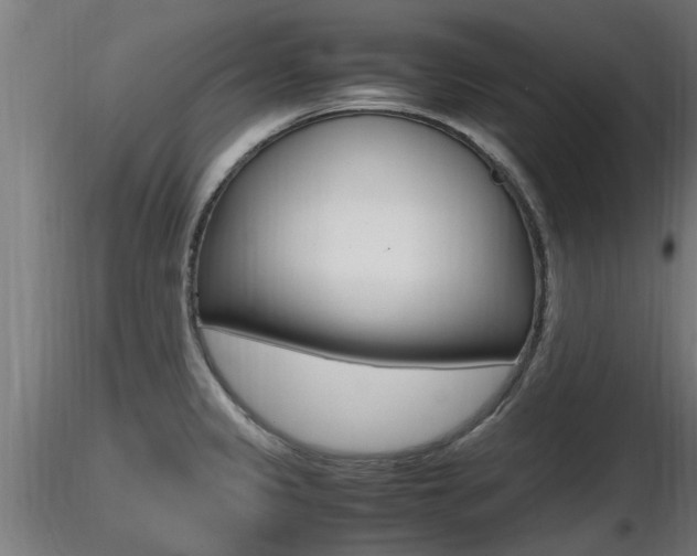 X0000116461333200912090918