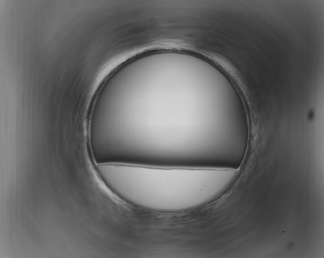 X0000116461335200912090918