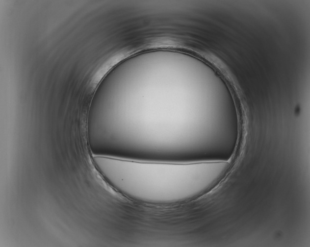 X0000116461337200912090918
