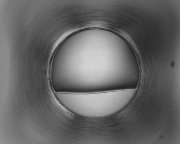 X0000116461339200912090918